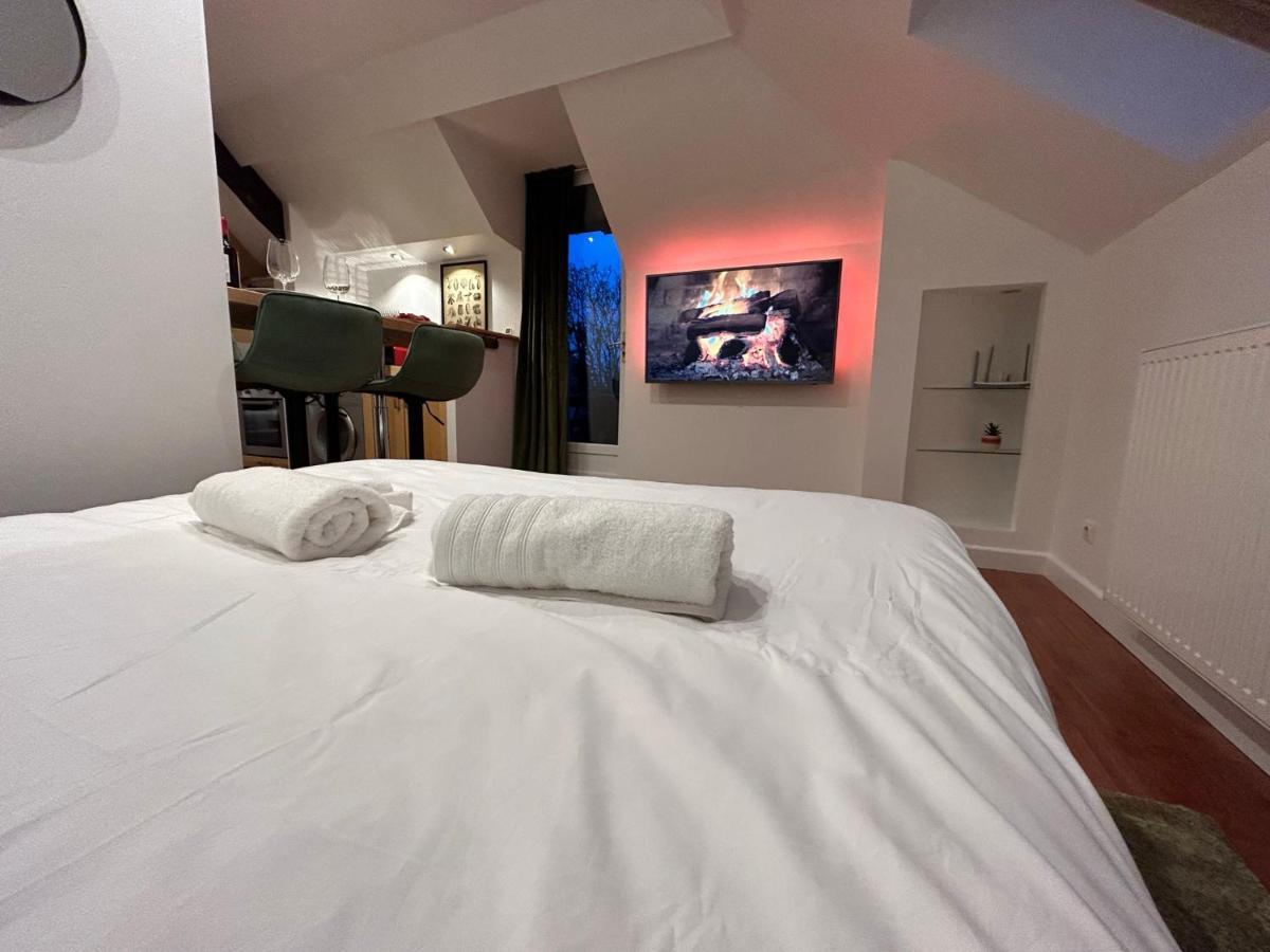 Rooftop - Cosy Flat Centre Senlis Санліс Екстер'єр фото